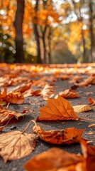 Wall Mural - Leaves blanket the path, creating a stunning autumn tapestry of color and peace