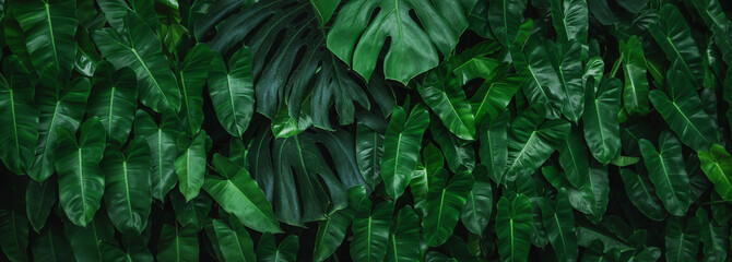 Wall Mural - lush green plant with leaves that are large and green