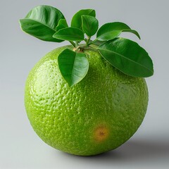 Wall Mural - A Freshly Picked Green Grapefruit With Leaves on a Grey Background