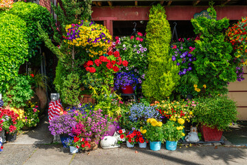 Wall Mural - Crazy Flower House Section 2