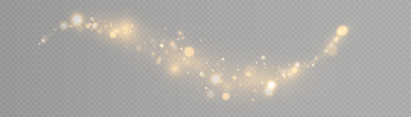Leinwandbilder - Sparkling Christmas gold particles of bright bokeh, glowing bokeh lights and glitter isolated on transparent background.