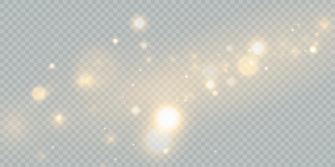 Leinwandbilder - Sparkling Christmas gold particles of bright bokeh, glowing bokeh lights and glitter isolated on transparent background.