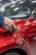 © Naturalis - Car Detailing with a Polishing Tool