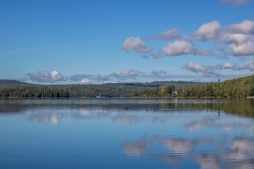 quiet lake in a pine forest. beautiful reflection of the surroundings in the water. Landscape shot in the nature of Amal, Sweden