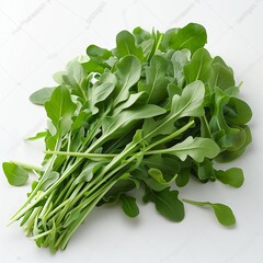 Wall Mural - Fresh Green Arugula Leaves on White Background