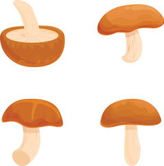 Poster - Asian mushroom icons set cartoon vector. Asian shiitake mushroom or fungi. Autumn food