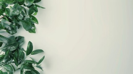 Wall Mural - Green leaves border on a light background, perfect for text or design.