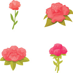 Poster - Collection of four illustrated pink roses with different blooms and green leaves