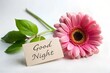 © Enrique - Flower with good night sign on white background