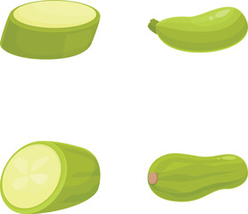 Poster - Set of zucchini and squash illustrations in various cuts, ideal for foodrelated designs
