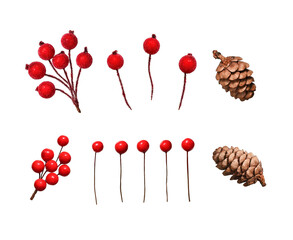 Wall Mural - a set for decorating christmas arrangements. artificial decorative red berries and natural cones iso