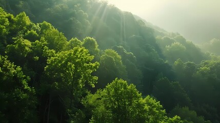 Wall Mural - morning in the mountains