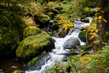 Canvas Print - Scenic Triberg water falls in Black forest, Germany. Long exposure shot.