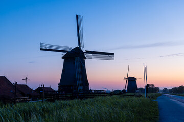 Wall Mural - Historic windmill by the canal and wildflowers in the Netherlands country side.