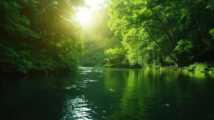 Aufkleber - A river with a lot of trees and the sun shining on it. The water is very clear and the trees are green