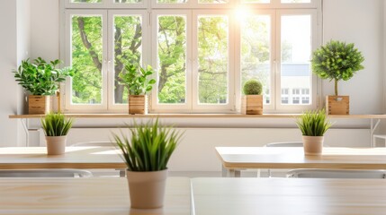 Aufkleber - A window with potted plants on the windowsill. The plants are green and the sunlight is shining through the window. The room has a clean and organized look