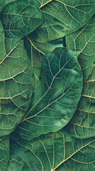 Aufkleber - Close-up of overlapping green leaves in a seamless pattern