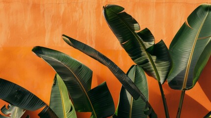 Poster - A bunch of green leaves are growing on a wall