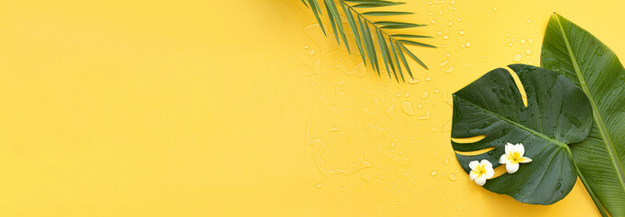 Wall Mural - Top view tropical leaves on vibrant background. Summer flat lay composition.