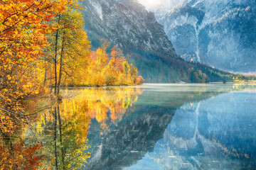 Wall Mural - breathtaking autumn scene of sunny morning on almsee lake.
