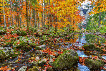 Wall Mural - captivating autumn scene near hinterer langbathsee lake.