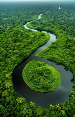 Poster - A river with a green forest on both sides