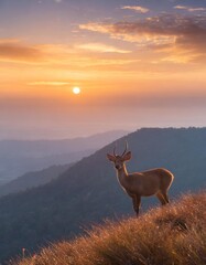 Wall Mural - Deer are enjoying the sunset. sunrise from a mountain top