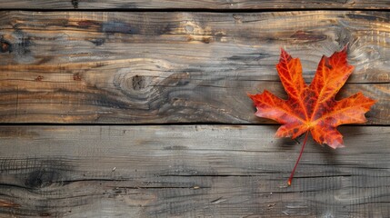 Wall Mural - A leaf is on a wooden surface