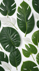 Poster - green leaf background