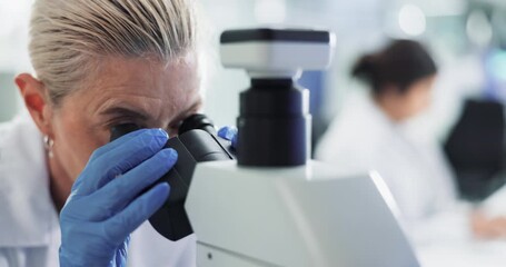 Wall Mural - Mature, woman and microscope in laboratory for research or observation, medical and biology experiment for study. Science, biotechnology and clinical analysis for disease diagnosis and healthcare.