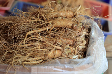 Canvas Print - Close-up of stacked raw ginseng roots for sale at a traditional market of Suwon-si, South Korea
