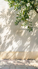Poster - Olive tree branches casting shadows on a white wall with sunlight