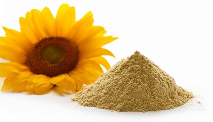 Wall Mural - sunflower lecithin powder on a white background with a sunflower in the background