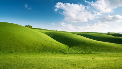 Wall Mural - wide shot of a lush green grassy hill landscape with a bright blue sky and white clouds ai