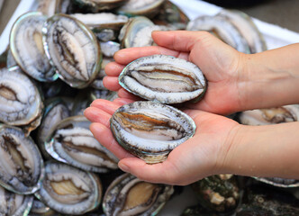 Poster - Close-up of female's hand holding two raw abalones at a fish market near Wando-gun, South Korea
