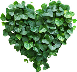 Sticker - Green leaves heart