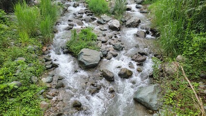 waterfall in the forest