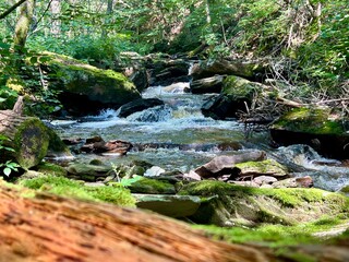 Ricketts Glen State Park, Pennsylvania, USA