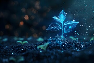 glowing plant in the night