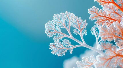 Poster - Close-up of bleached coral reefs underwater with vibrant marine life contrasting against the pale coral leaving ample empty space on the right side of the image for design purposes Stock Photo with