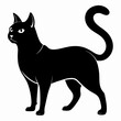 © jotirmaya - Japanese Bobtail Black silhouette