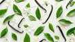 © Matcha_09 - Isolated vanilla pods, green leaves, and flowers arranged in a seamless pattern on a white backdrop