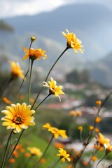 Canvas Print - Close-up of Yellow Wildflowers in Mountainous Landscape during Daytime with a Blurred Background