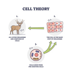 Wall Mural - Cell theory for evolution and pre existing cells development outline diagram, transparent background. Labeled educational historic organism transformation progress stages and steps illustration.