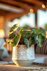 Poster - A potted plant with green leaves, a white pot with a brown glaze, and a wooden table.