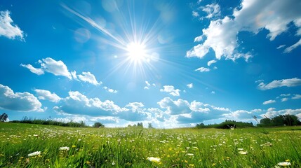 a day of bright blue skies with fluffy image