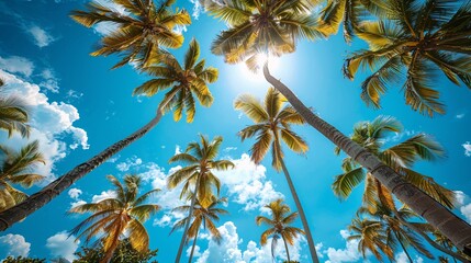 Scenic landscape of coconut trees under a clear blue sky, capturing the essence of tropical beauty in outdoor nature photography