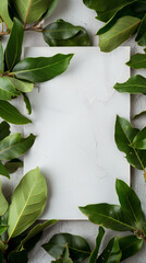 Wall Mural - Frame of bay leaves white steel board for copy in middle, texture background