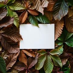 Wall Mural - Frame of chestnut leaves, white plastic board for copy in middle with texture background