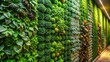 © somporn - Green vegetable wall with natural textures and illuminated by daylight , vegetables, green, wall, texture, background